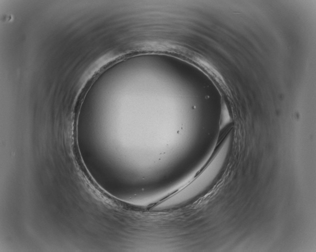 X0000086060992200703301036