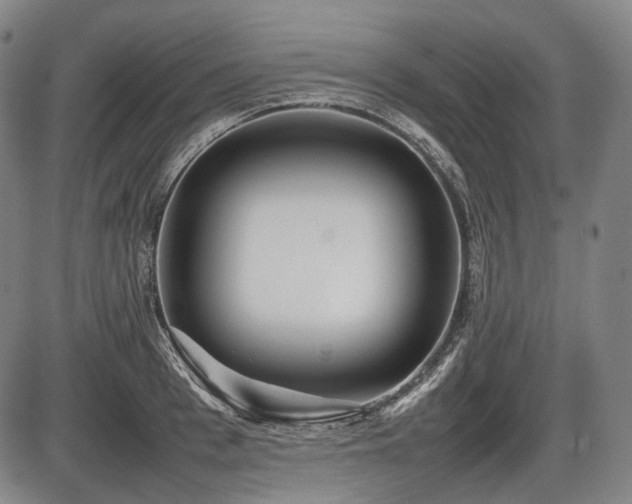 X0000086060993200703301036