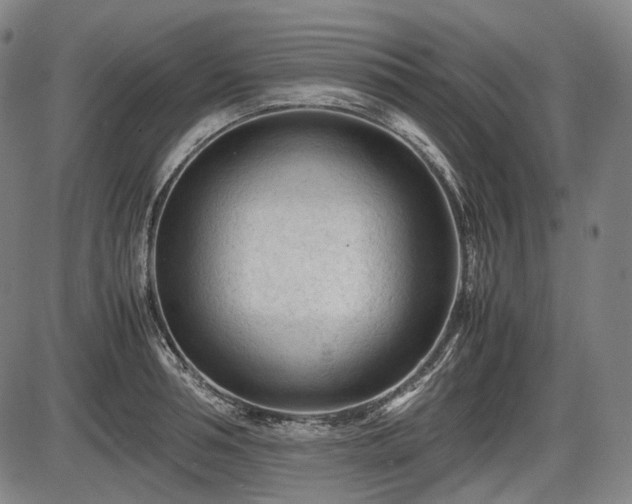 X0000086060994200703301036