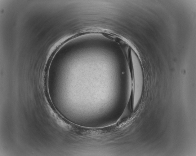 X0000086060995200703301036