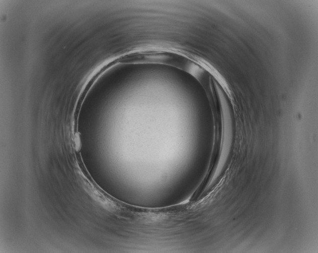 X0000086060996200703301036