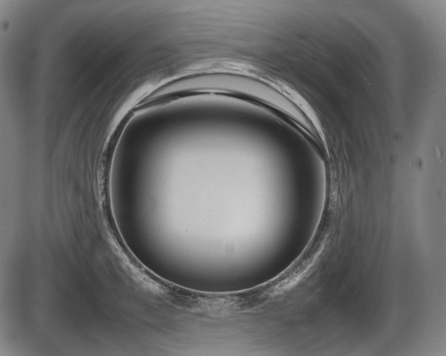 X0000086060997200703301036