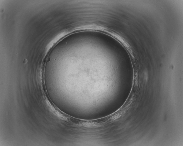 X0000086060998200703301036