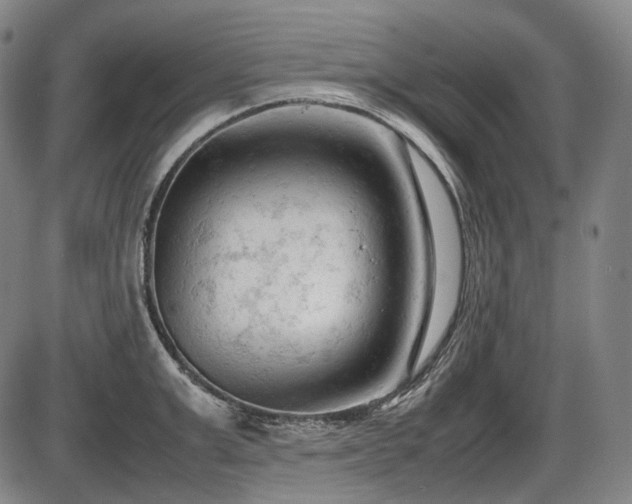 X0000086060999200703301036