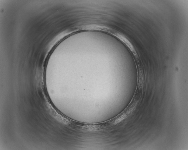 X0000086061000200703301036