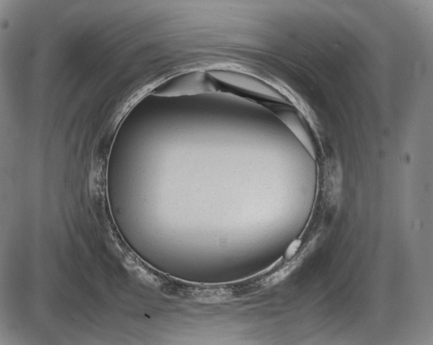 X0000086061001200703301036