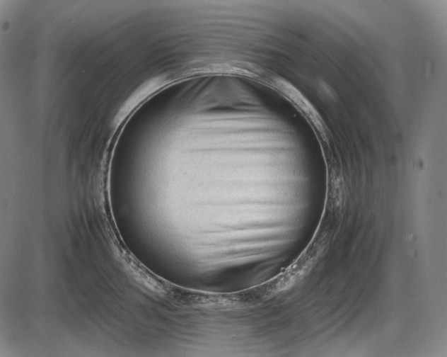 X0000086061002200703301036