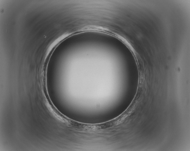 X0000086061003200703301036