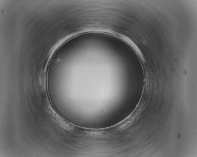 X0000086061004200703301036