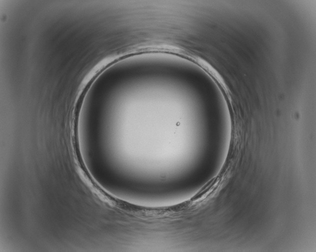 X0000086061005200703301036