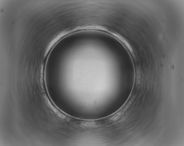 X0000086061006200703301036