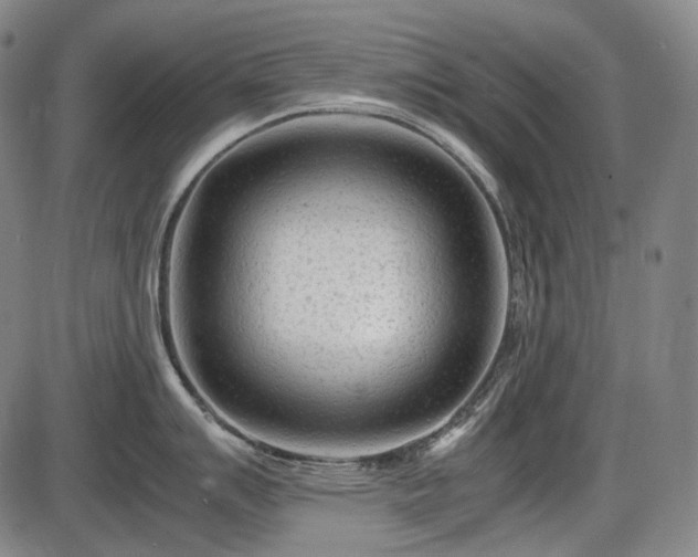 X0000086061007200703301036