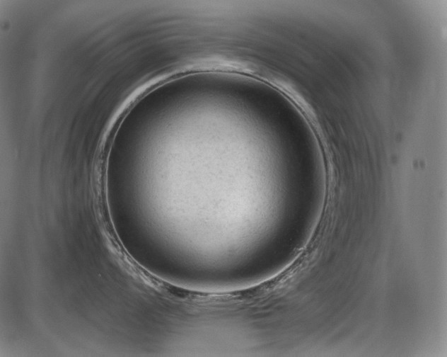 X0000086061008200703301036