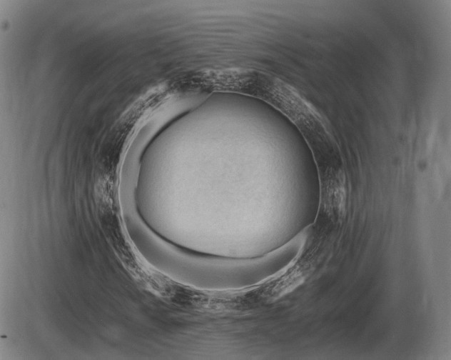 X0000086061010200703301035