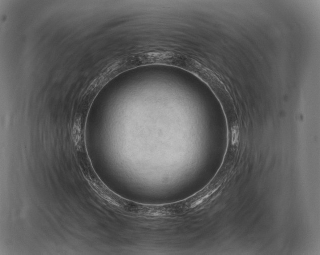 X0000086061011200703301035