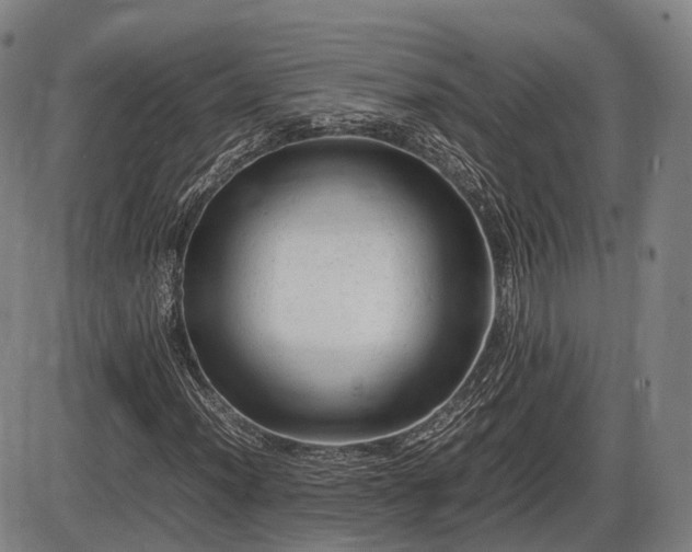 X0000086061012200703301035