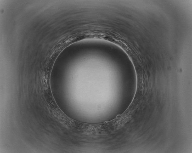 X0000086061013200703301035