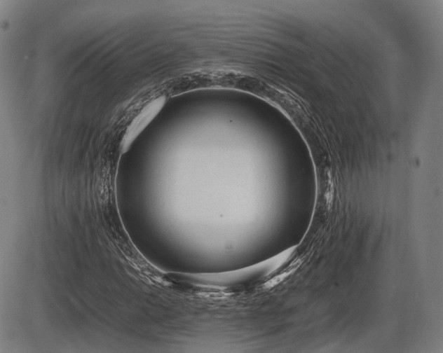 X0000086061014200703301035