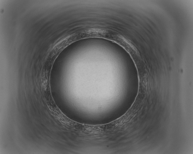 X0000086061015200703301035