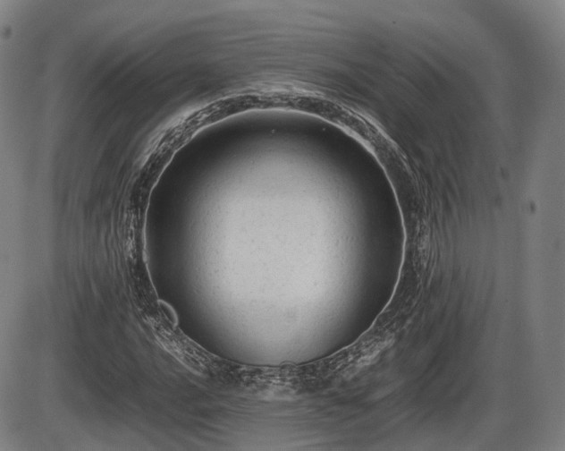 X0000086061016200703301035