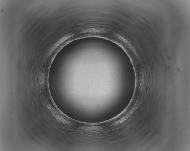 X0000086061017200703301035