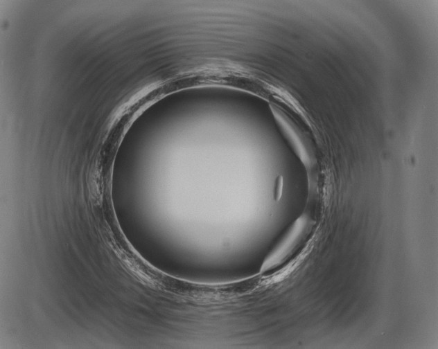 X0000086061018200703301035