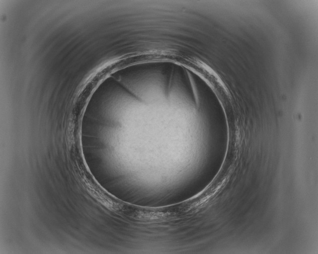 X0000086061019200703301035