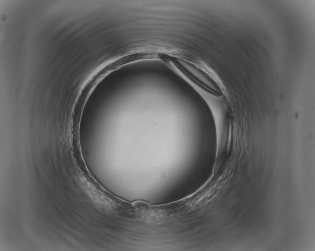 X0000086061020200703301035