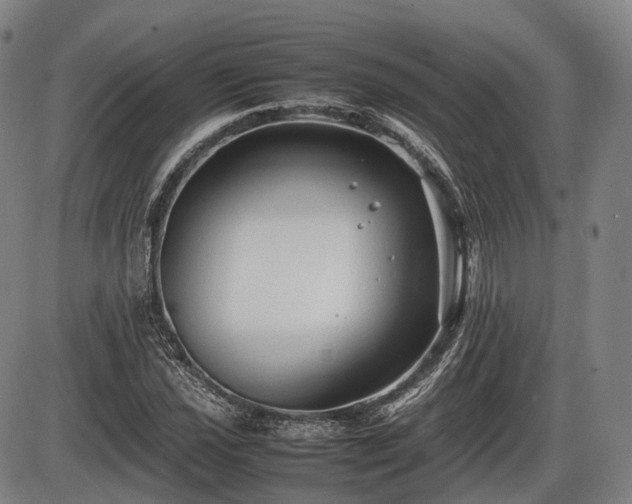 X0000086061021200703301035