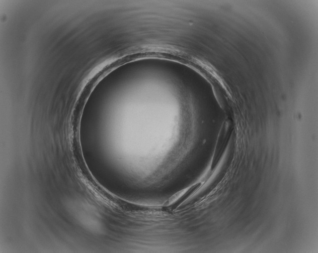 X0000086061024200703301035