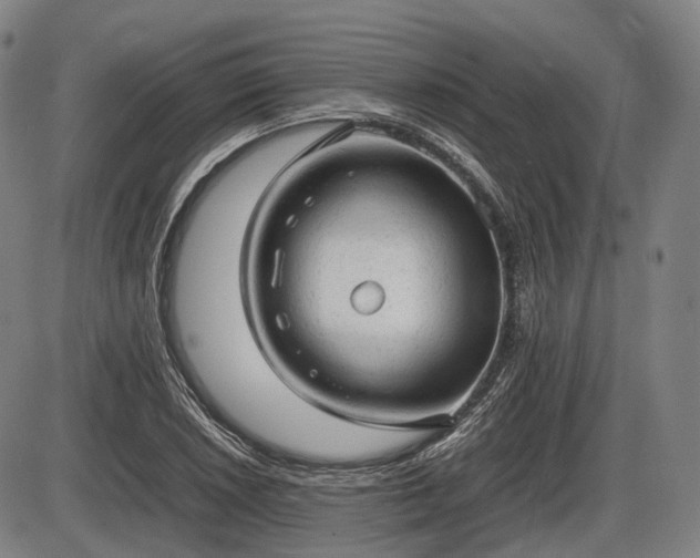 X0000086061026200703301035