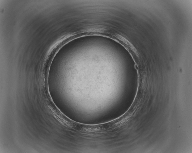 X0000086061027200703301035