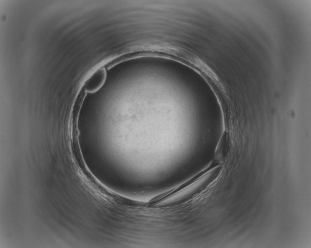 X0000086061028200703301035