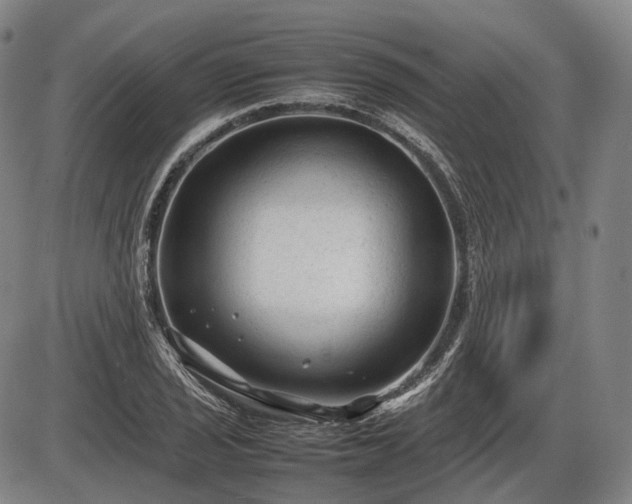 X0000086061029200703301035