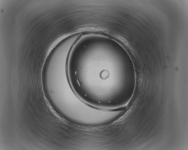 X0000086061030200703301035