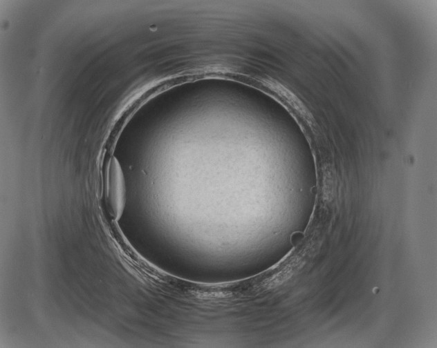 X0000086061031200703301035