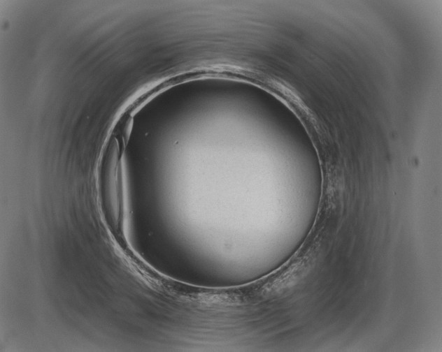 X0000086061032200703301035