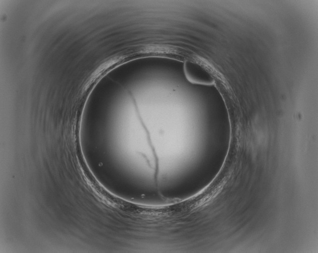 X0000086061033200703301035