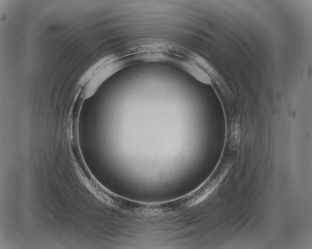 X0000086061034200703301035