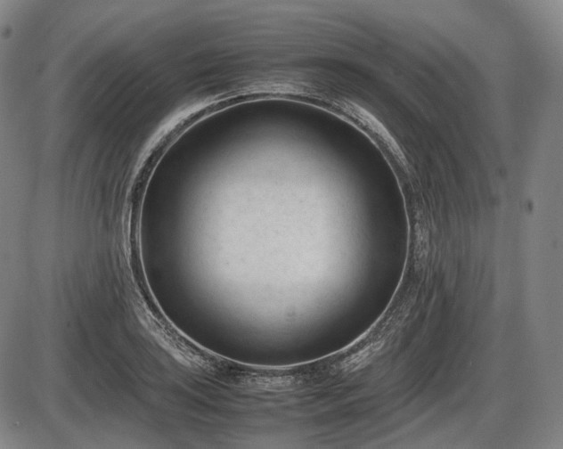 X0000086061035200703301035