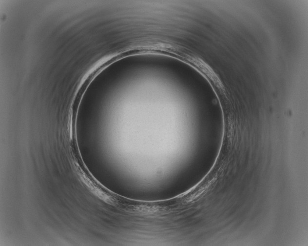 X0000086061036200703301035