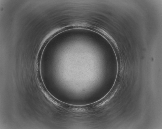 X0000086061037200703301035