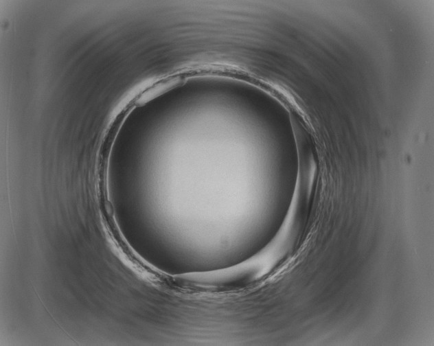 X0000086061038200703301036