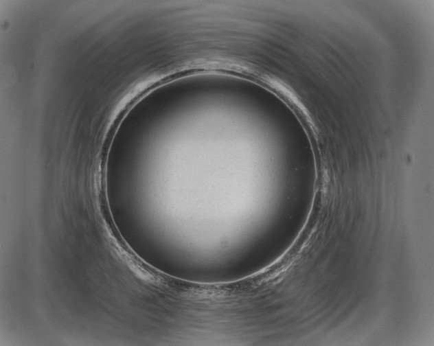 X0000086061040200703301036