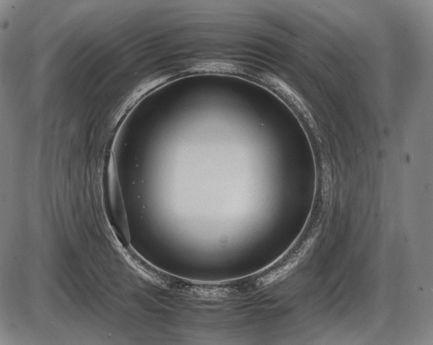 X0000086061041200703301036