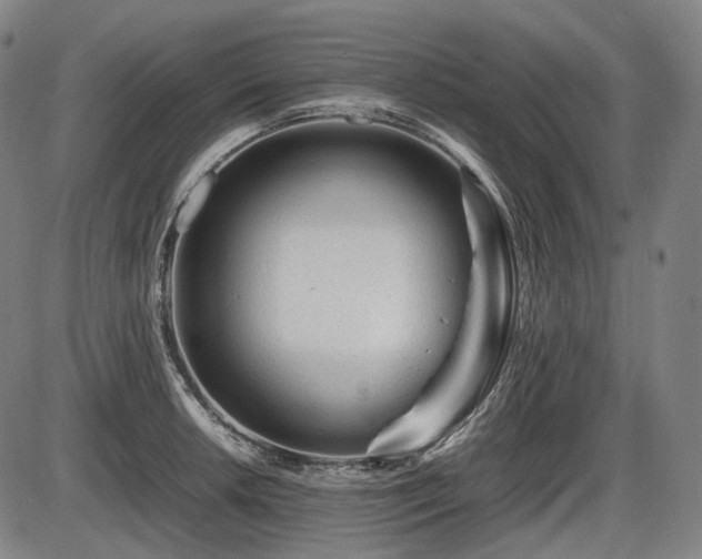 X0000086061042200703301036