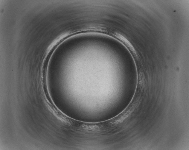 X0000086061043200703301036