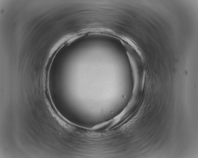 X0000086061046200703301036