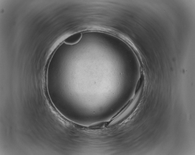 X0000086061048200703301036