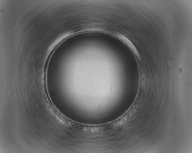 X0000086061051200703301036